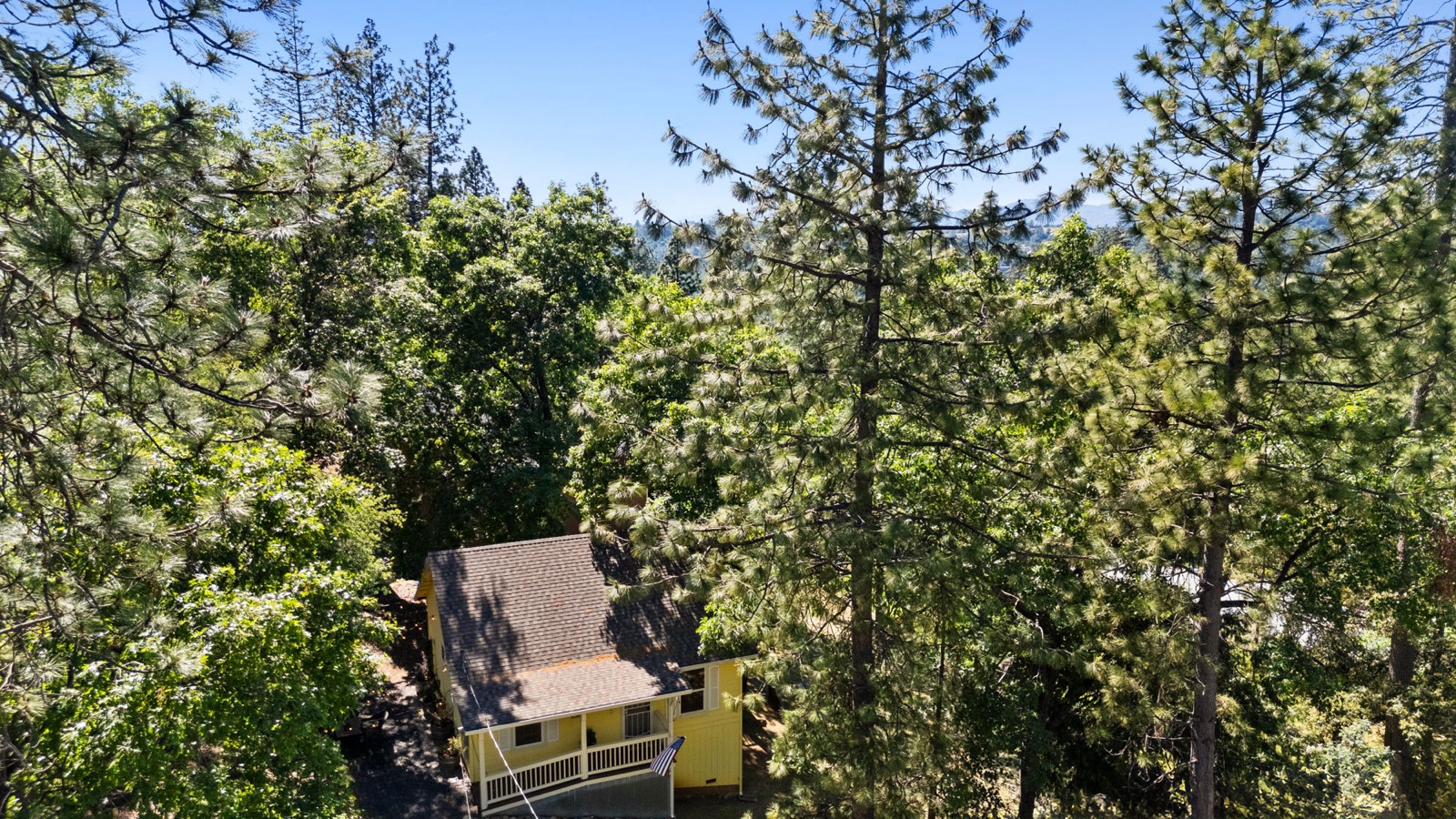 Aerial over the cabin