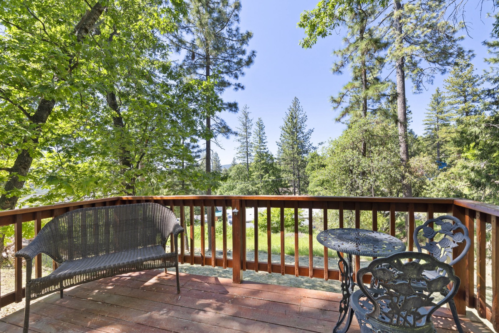 Back deck under the pines